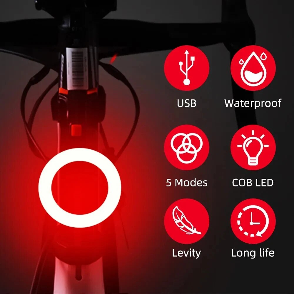 Bicycle Taillight USB Recharge - Cycling Gear Charging Station 评论和价格