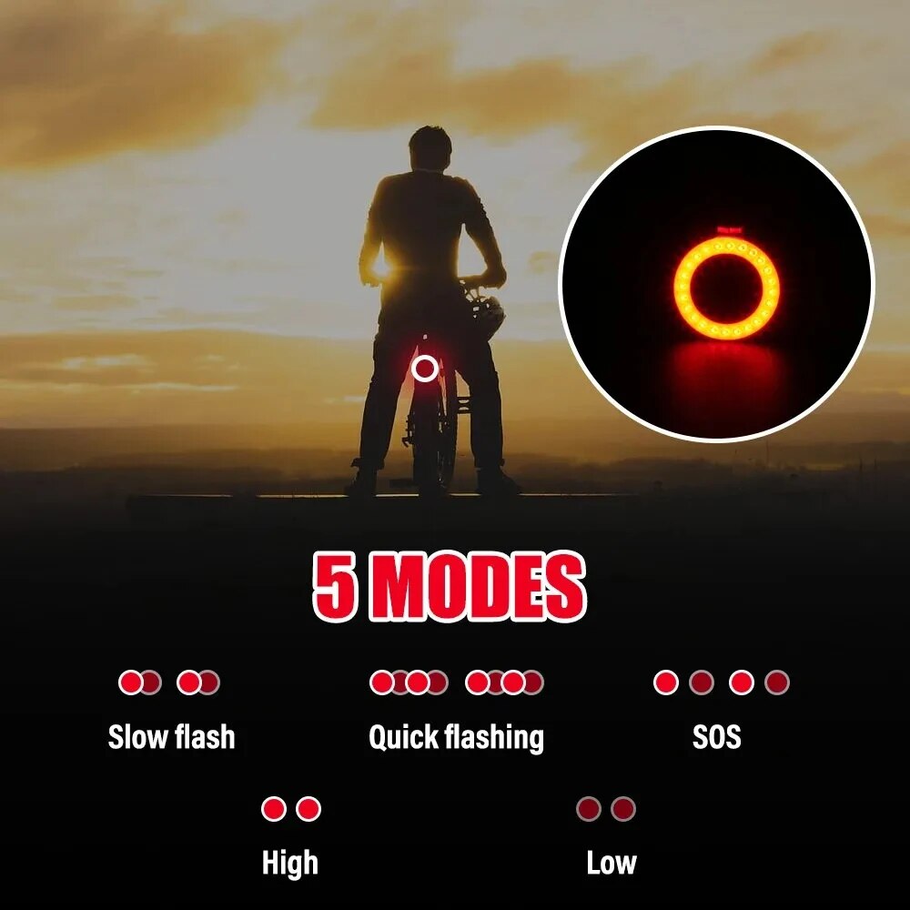 Bicycle Taillight USB Recharge - Cycling Gear Charging Station 评论和价格